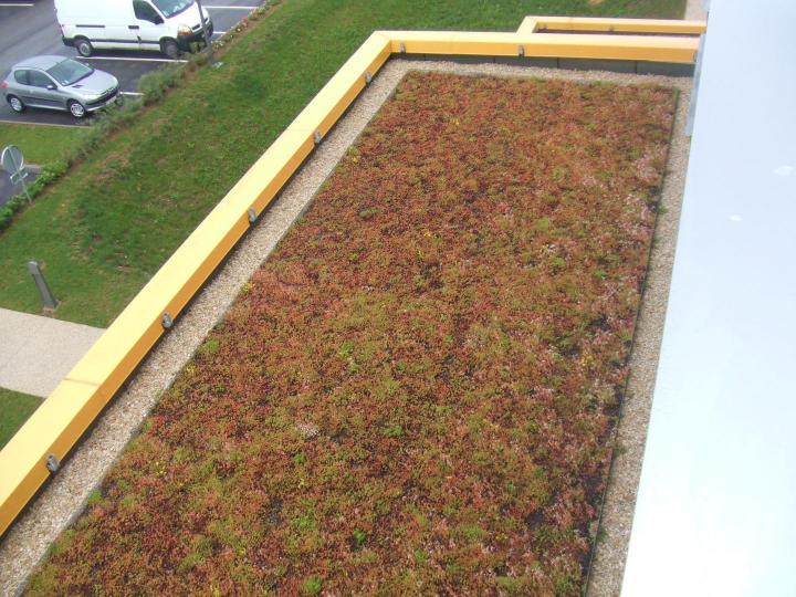 Végétalisation de toiture Troyes 